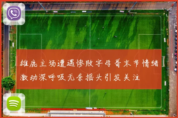 雄鹿主场遭遇惨败字母哥末节情绪激动深呼吸无奈摇头引发关注